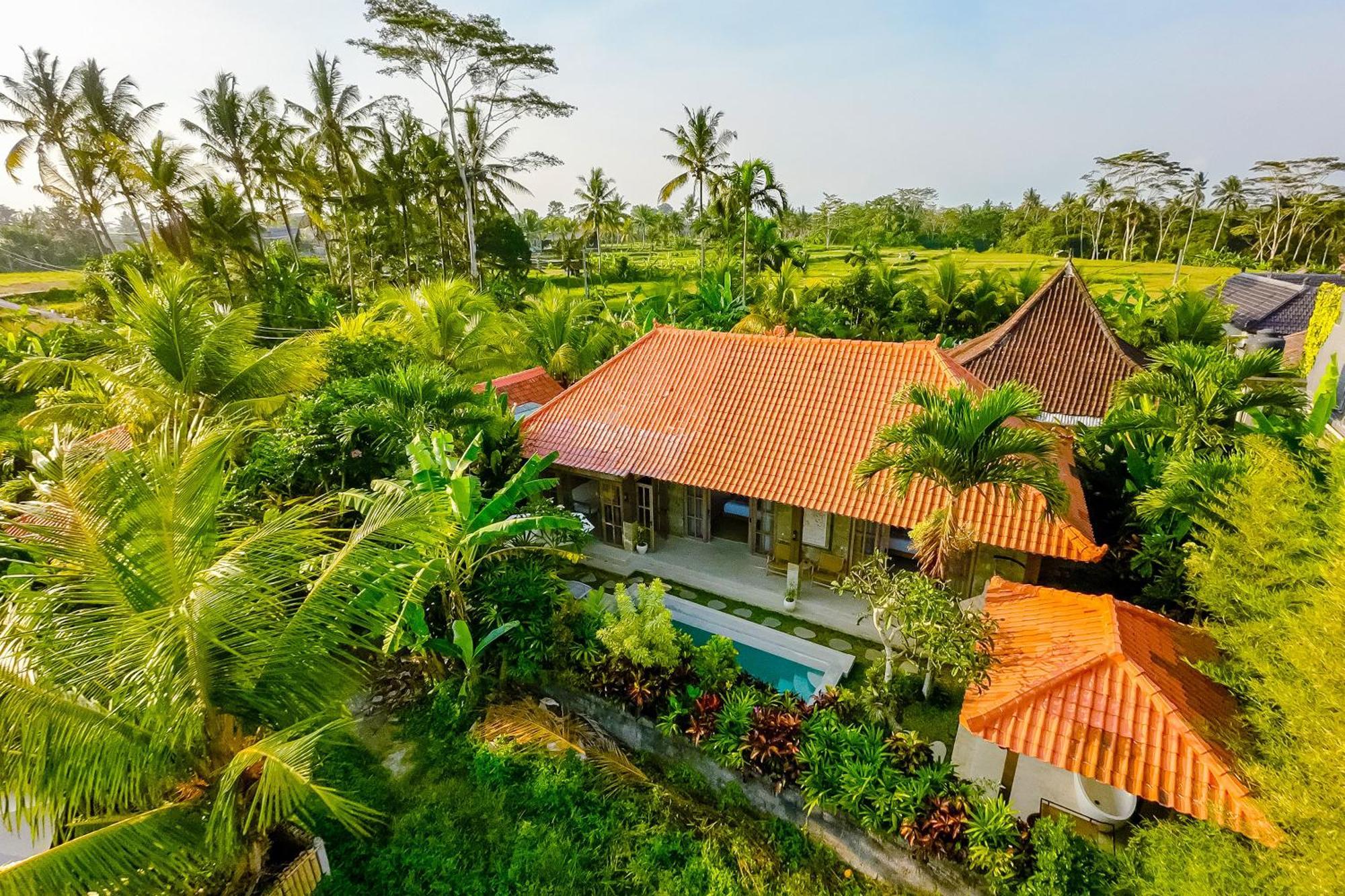 Nyaman Villas By Evdekimi Ubud Exterior photo